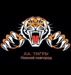 Логотип ТИГРЫ-2